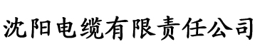 国产欧美日韩综合电缆厂logo